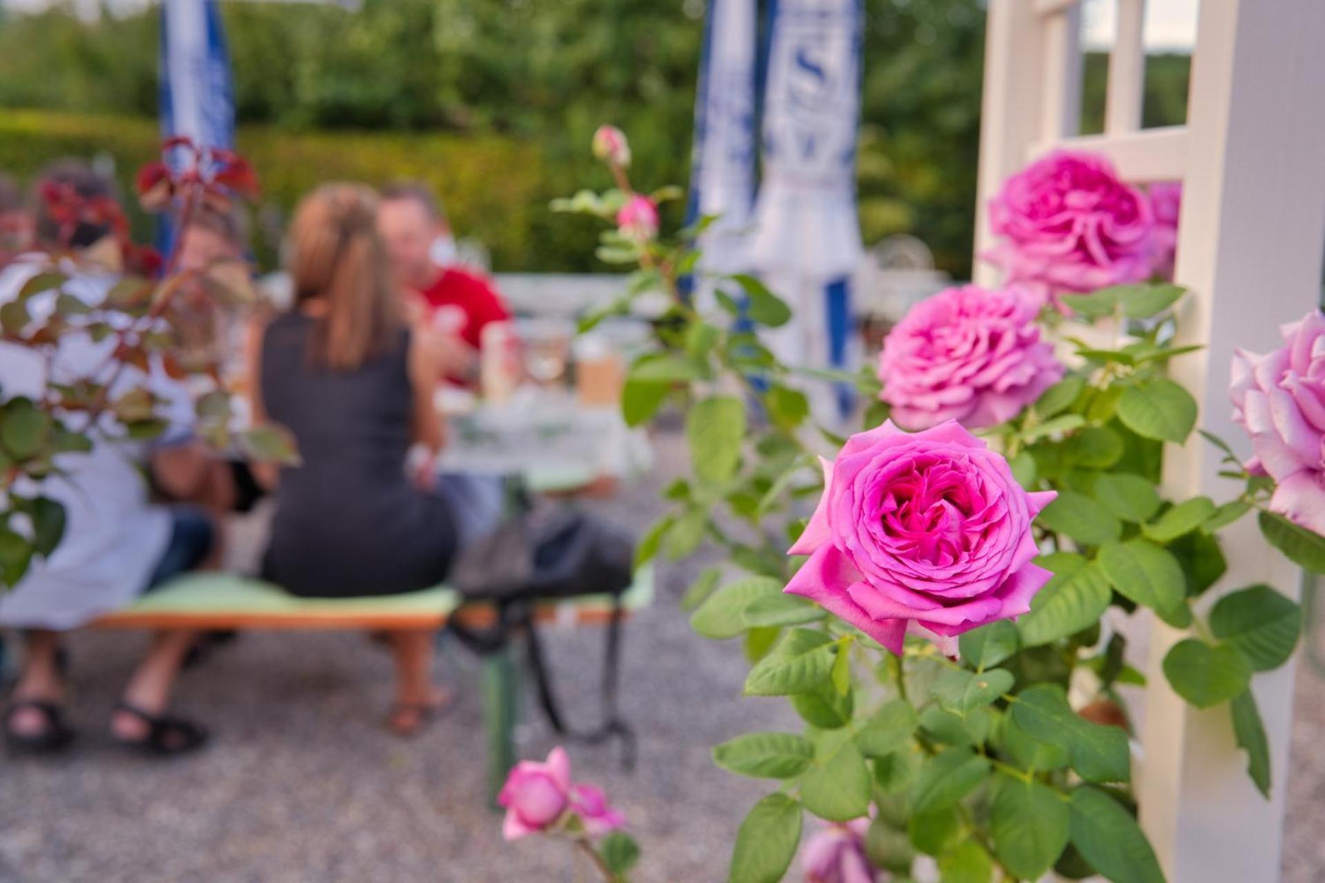 Gasthaus Zur Rose Aalen Exterior foto